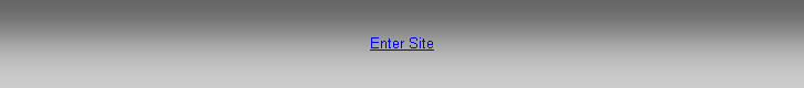 Text Box: Enter Site